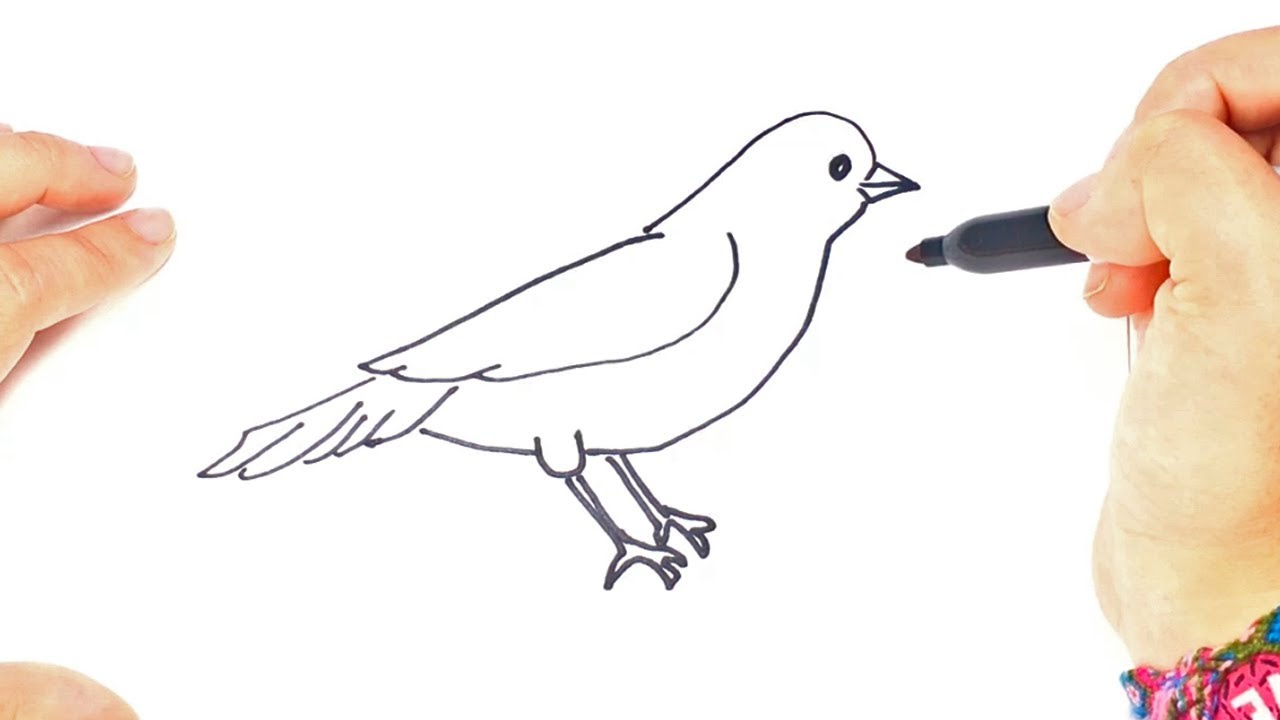 1280x720 How To Draw A Little Bird Step - Little Bird Drawing