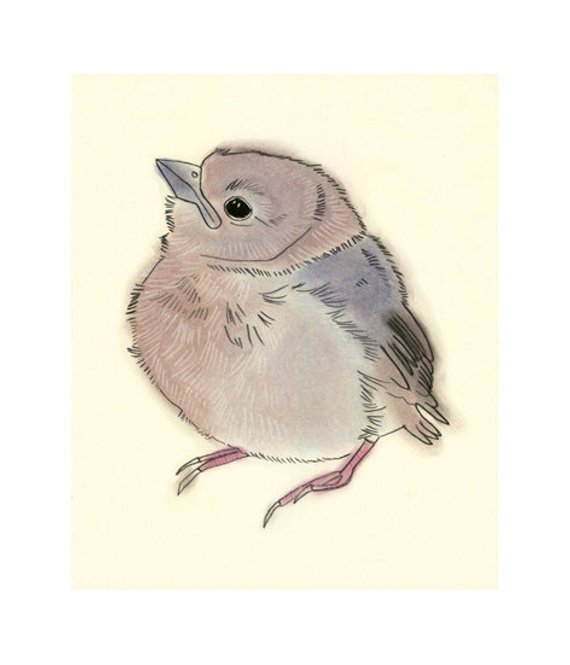 570x665 Items Similar To Baby Bird Art Illustration Drawing - Little Bird Drawing