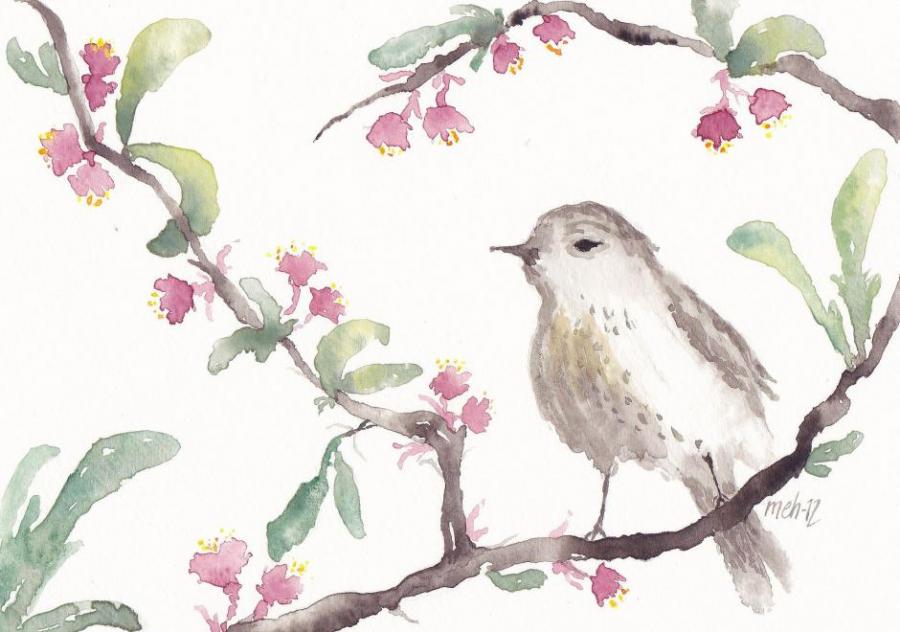 900x632 Little Bird Birds Drawings Pictures Drawings Ideas For Kids - Little Bird Drawing