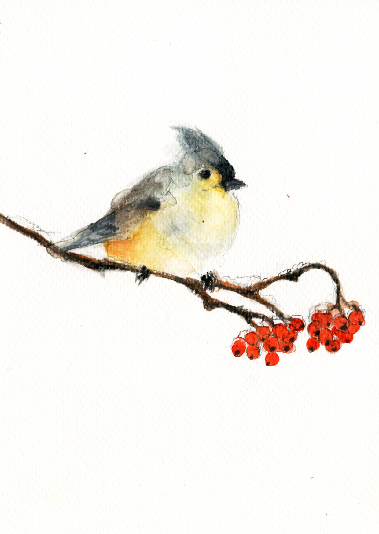 1240x1748 The Little Birds I Draw - Little Bird Drawing