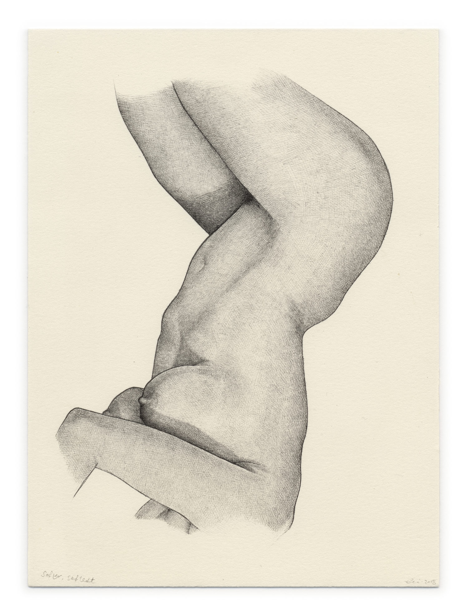 1497x1972 new little drawings lily mae martin - Little Drawings