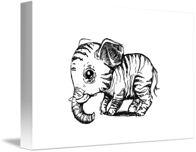 650x504 Little Elephant - Little Elephant Drawing
