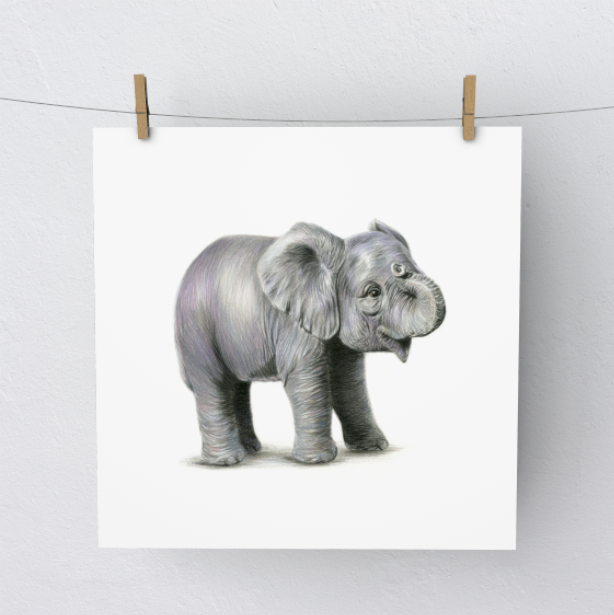 614x615 Little Elephant - Little Elephant Drawing