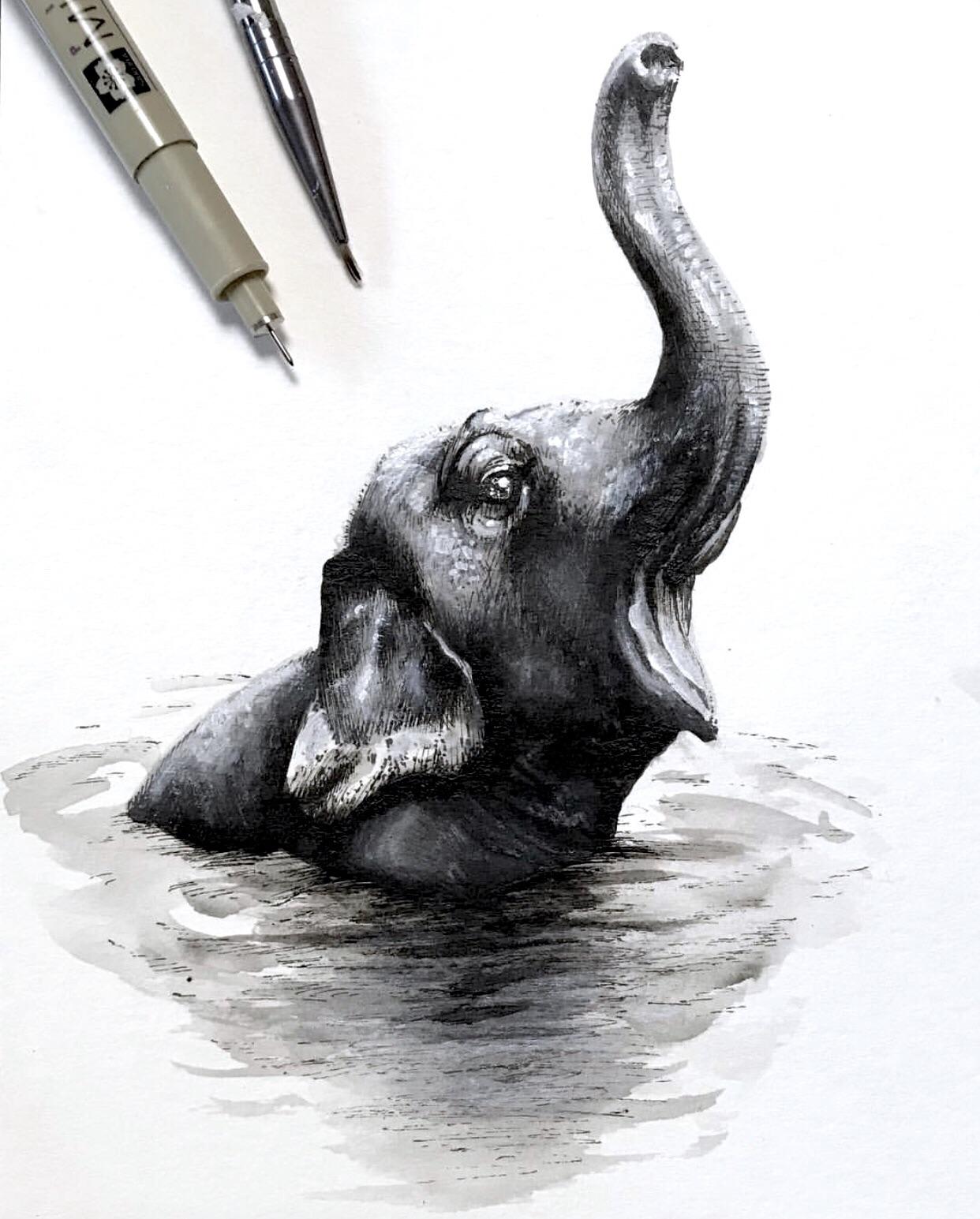 1242x1545 little elephant enjoying a river bath drawing - Little Elephant Drawing