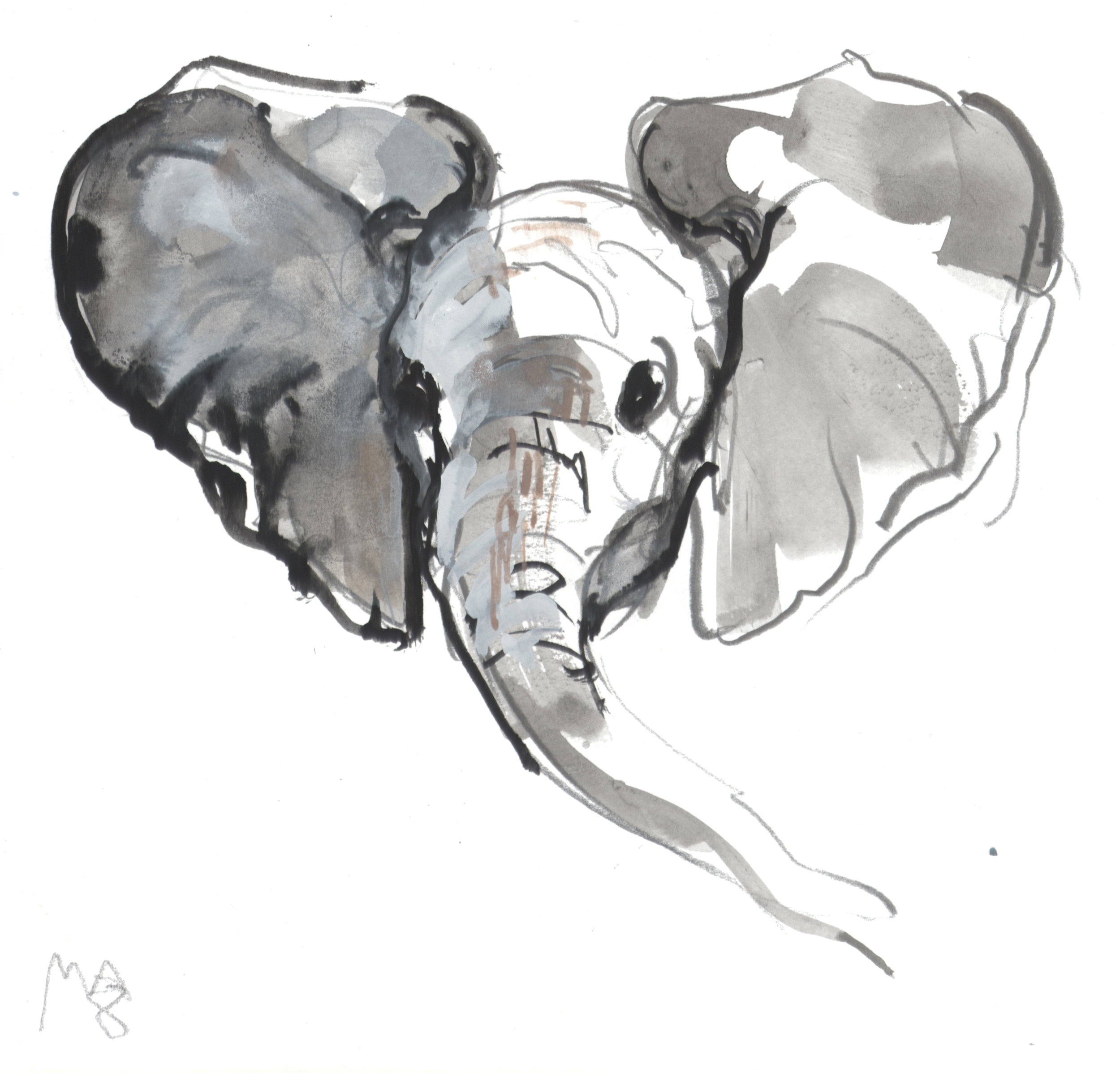 2500x2396 Mark Adlington - Little Elephant Drawing