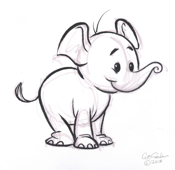 736x718 Animal Cartoon Drawings Image Group - Little Elephant Drawing