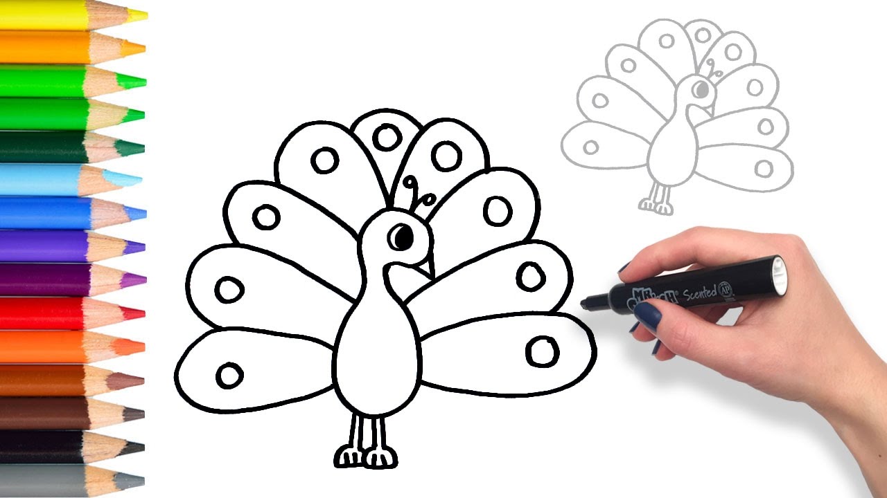 1280x720 How To Draw A Colourful Peacock Teach Drawing For Kids - Little Kid Drawings