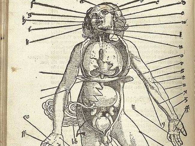 650x488 drawings that show how little people knew about science - Little People Drawings