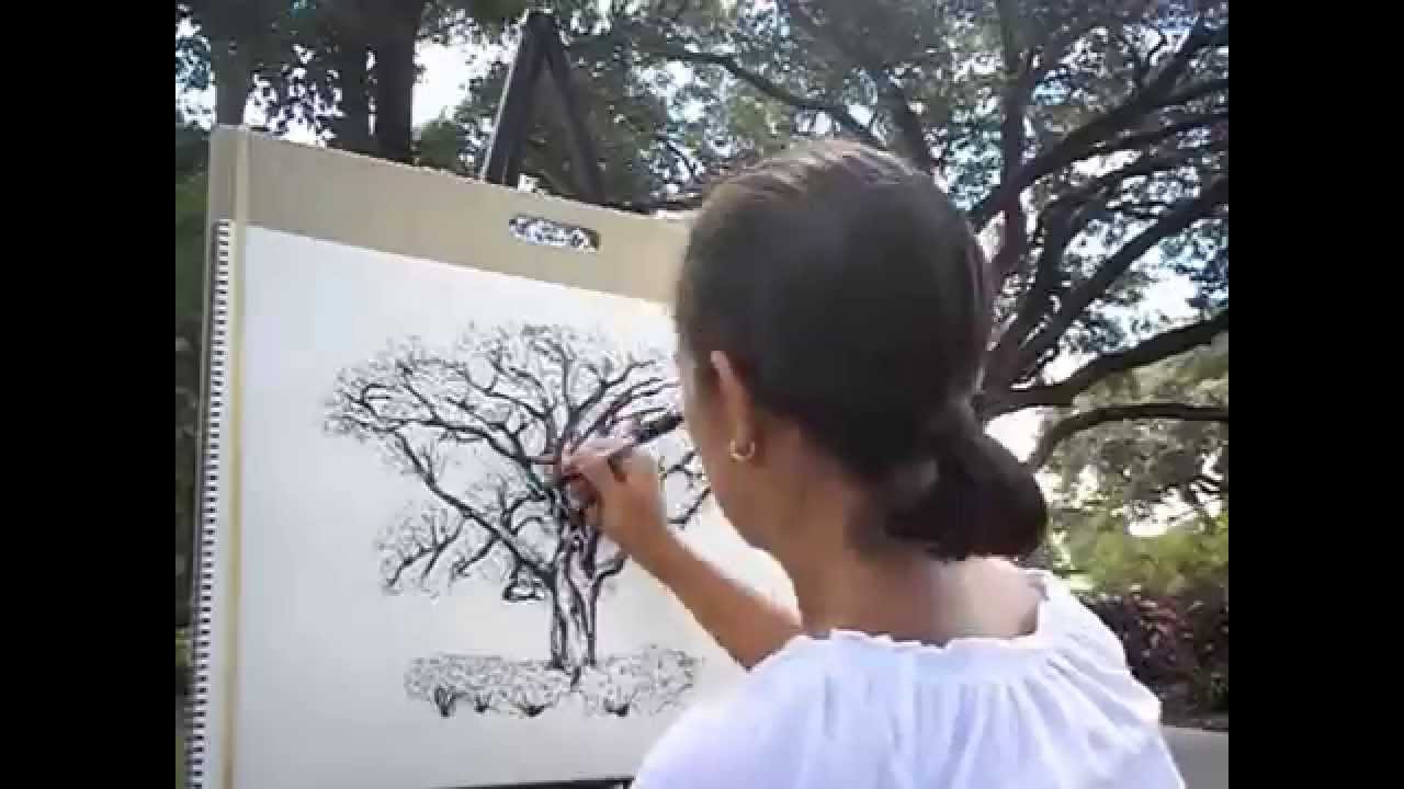 1280x720 how i draw a live oak - Live Oak Drawing