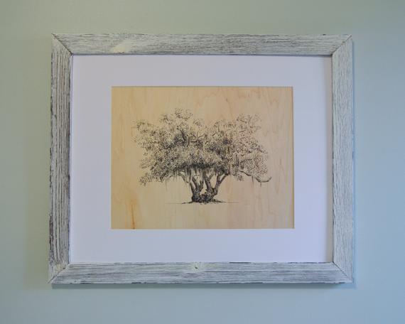 570x456 lover's oak live oak tree print pen and ink drawing etsy - Live Oak Drawing