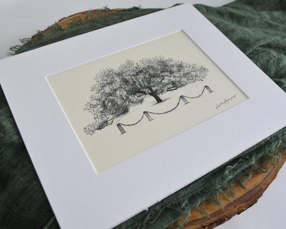 570x456 marker live oak tree fine art print pen and ink drawing etsy - Live Oak Drawing