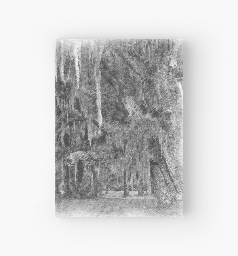 827x889 pencil drawing of moss covered live oak trees hardcover journals - Live Oak Drawing