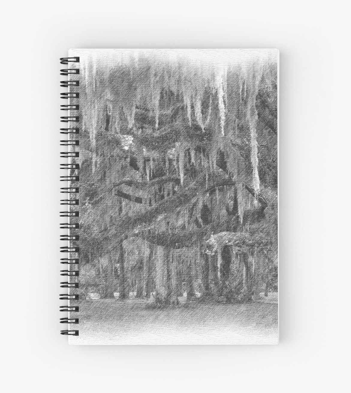 1171x1313 Pencil Drawing Of Moss Covered Live Oak Trees Spiral Notebooks - Live Oak Tree Drawing