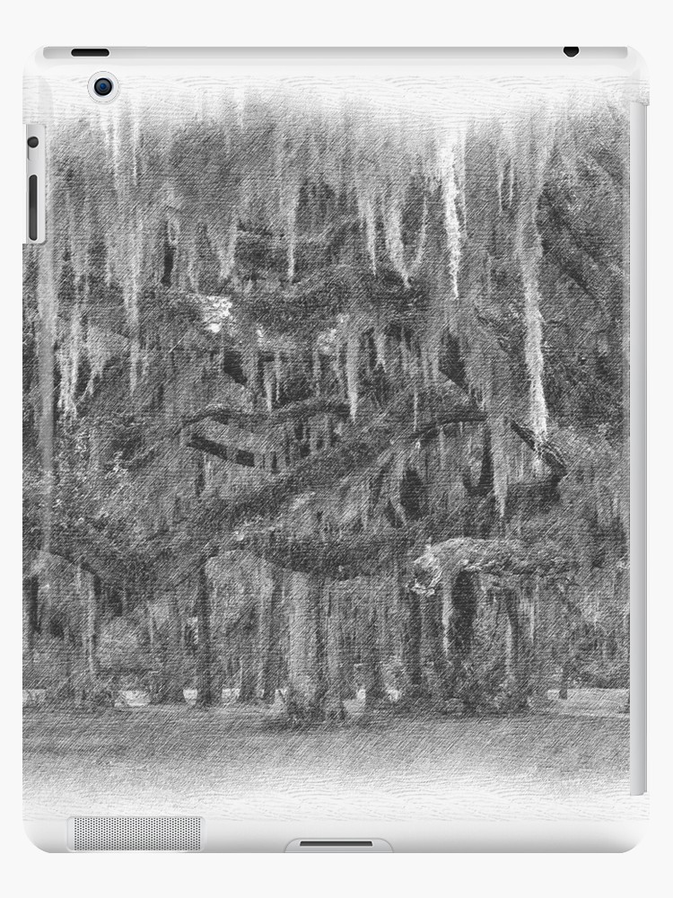750x1000 Pencil Drawing Of Moss Covered Live Oak Trees Ipad Cases Skins - Live Oak Tree Drawing