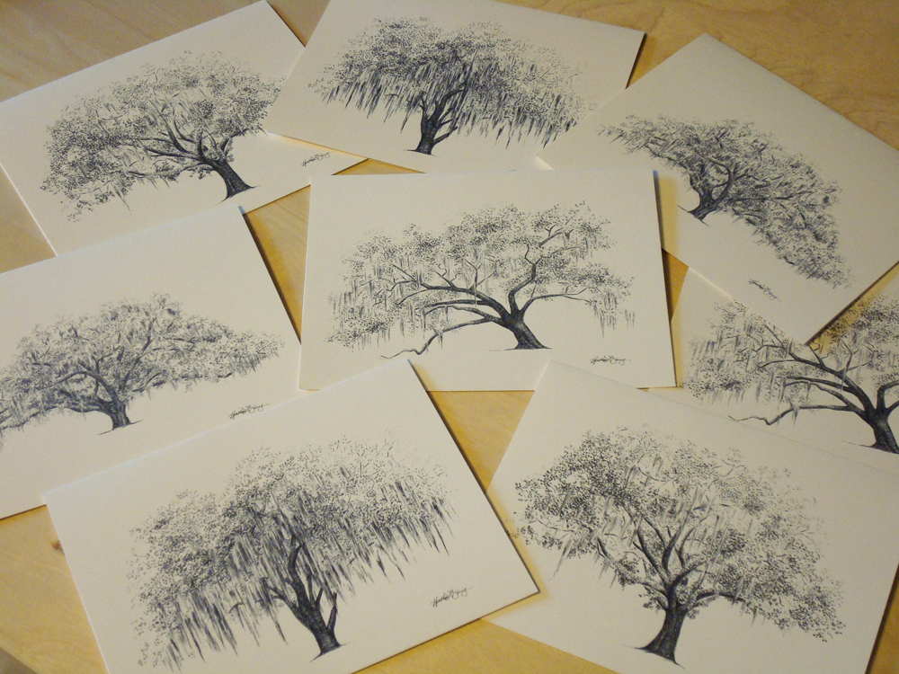 1000x750 tree flyoung studio - Live Oak Tree Drawing