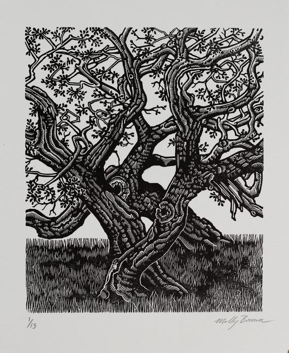 570x697 coastal live oaks linocut print etsy - Live Oak Tree Drawing