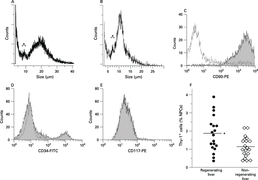 850x594 isolation and characterisation of progenitor cell fractions - Liver Cell Drawing