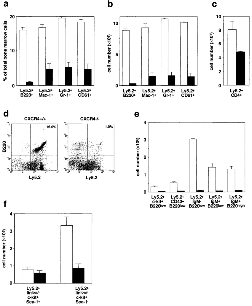 850x1032 long term repopulating ability of mutant fetal liver cells - Liver Cell Drawing