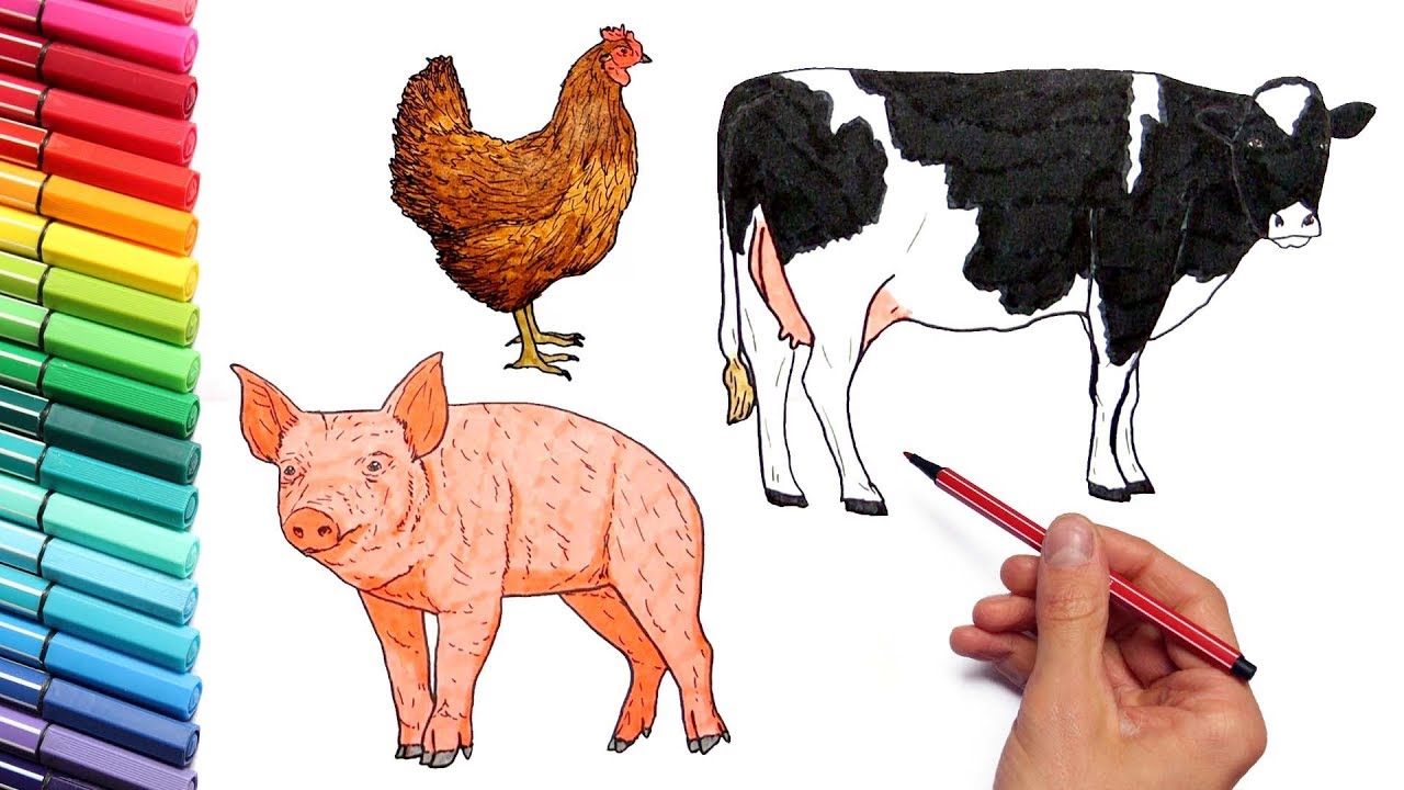 1280x720 Farm Animals Coloring Pages - Livestock Drawing