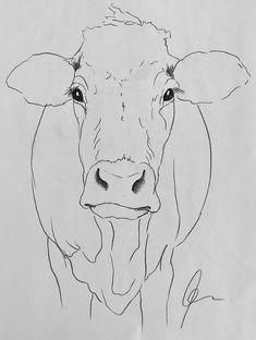 235x312 how to draw a cow cows drawings, cow drawing, cow sketch - Livestock Drawing
