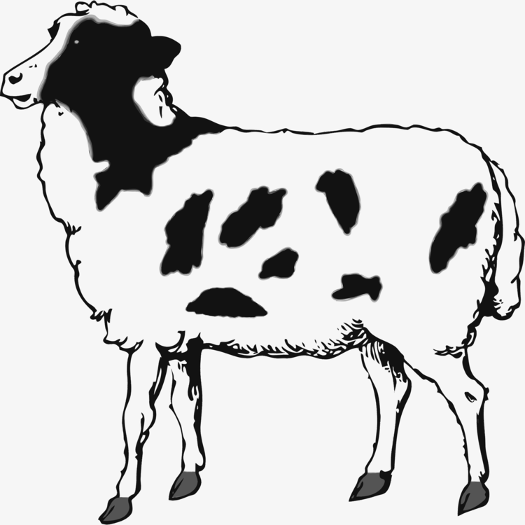 750x750 Icelandic Sheep Drawing Goat Livestock Black Sheep Cc0 - Livestock Drawing