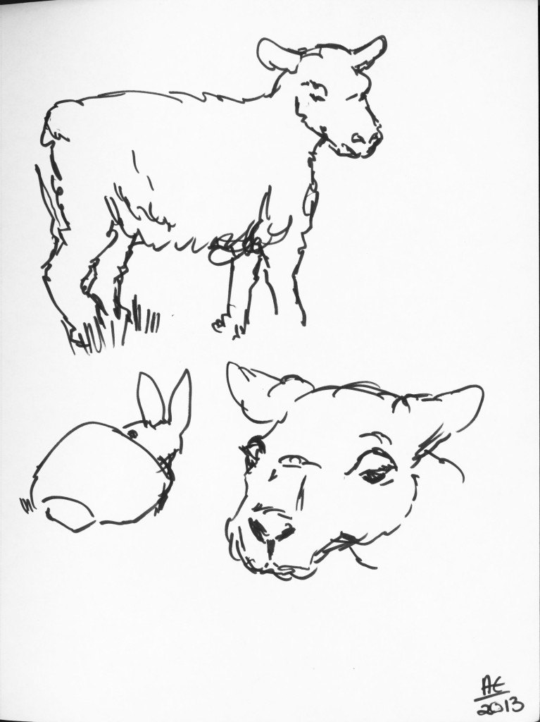 767x1024 Animal Family Drawing - Livestock Drawing