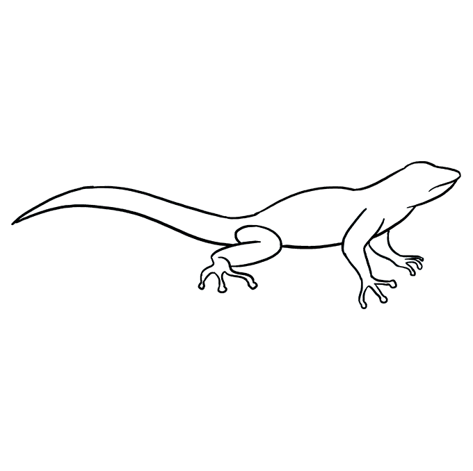 680x678 How To Draw A Lizard - Lizard Drawing