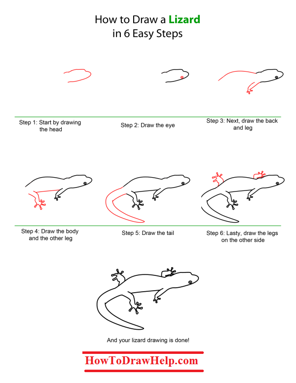 600x776 How To Draw A Lizard Step - Lizard Drawing