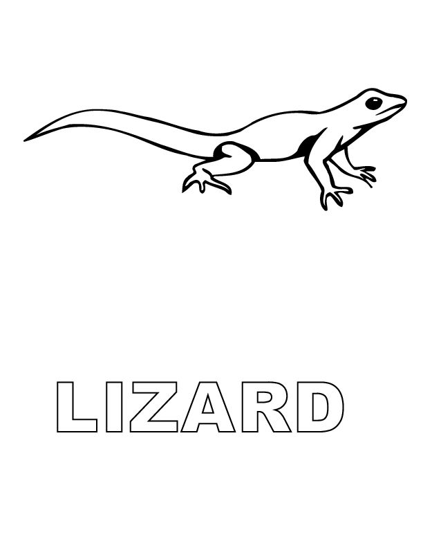 Lizard Outline Drawing At Paintingvalley.com 