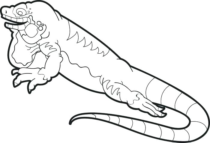 700x477 How To Draw Lizard Coloring Pages Disney Zombies For Adults Easy - Lizard Drawing For Kids