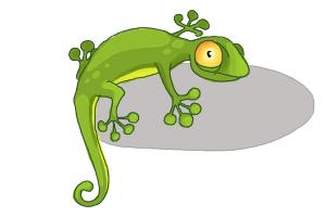 300x200 How To Draw A Cartoon Lizard - Lizard Drawing For Kids