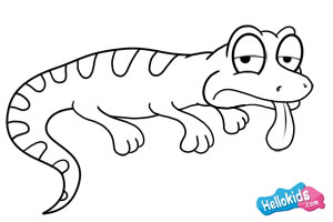 300x200 How To Draw How To Draw A Lizard - Lizard Drawing For Kids