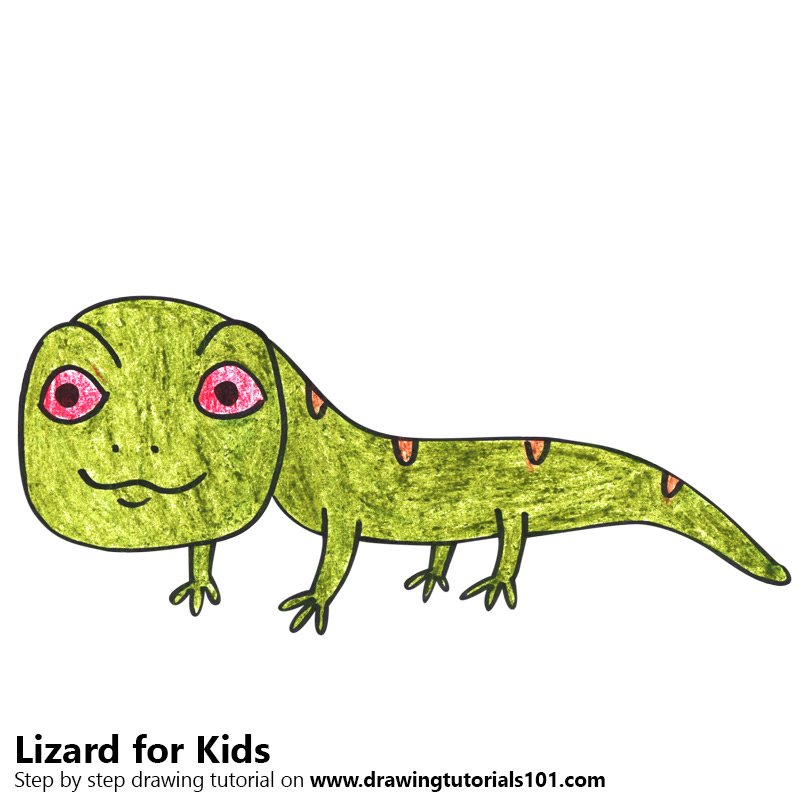 800x800 Learn How To Draw A Lizard For Kids - Lizard Drawing For Kids