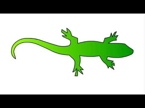 480x360  - Lizard Drawing For Kids