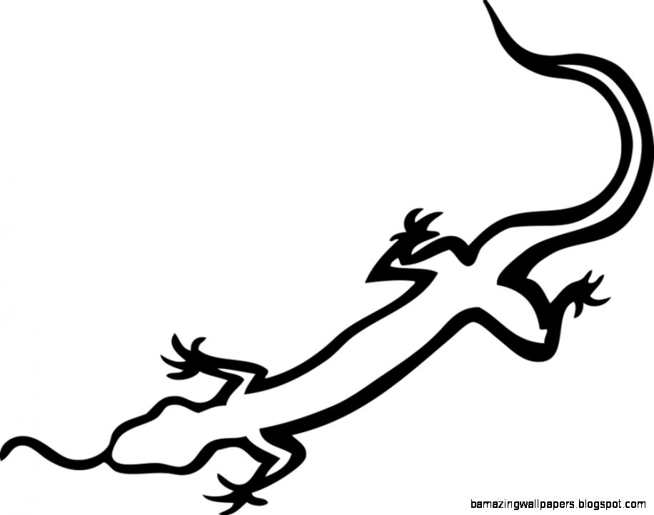 916x722 Lizard Drawings For Kids Amazing Wallpapers - Lizard Drawing For Kids