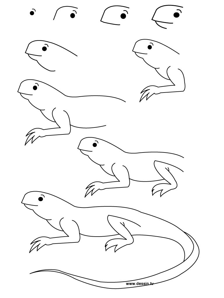 768x1024 kids learn how to draw a lizard crafts creativity basteln - Lizard Drawing For Kids