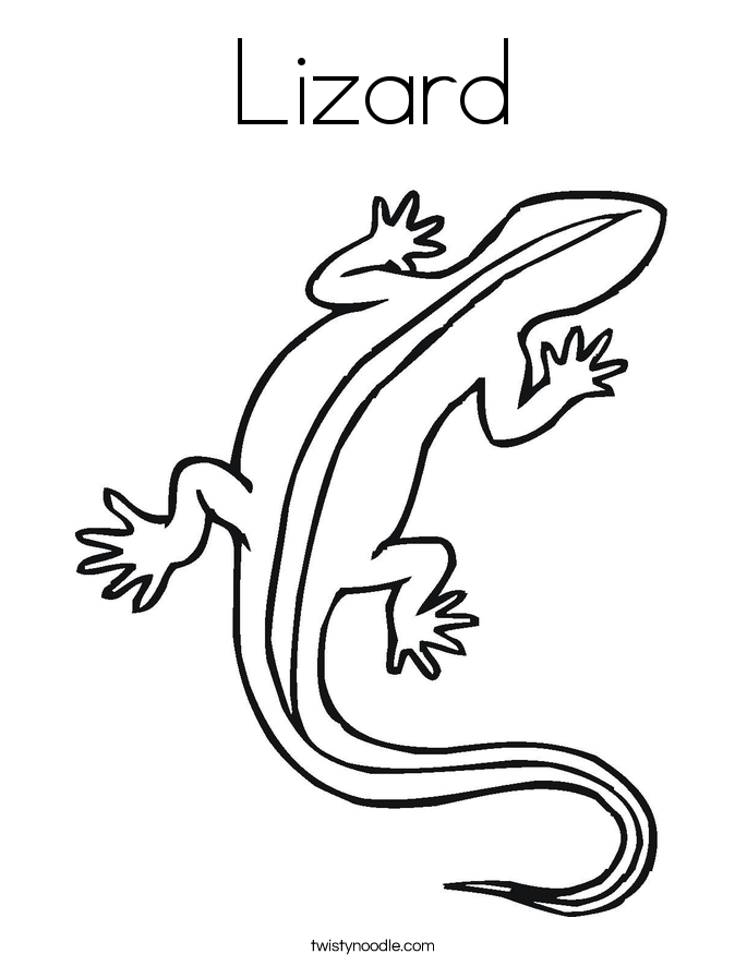 685x886 Lizard Drawing Kid For Free Download - Lizard Drawing For Kids