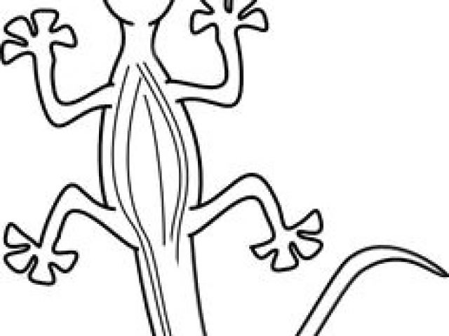640x480 drawing a cartoon lizard best cartoon lizard outline tattoo - Lizard Drawing Outline