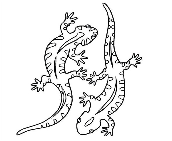 585x481 Drawn Lizard Outline - Lizard Drawing Outline