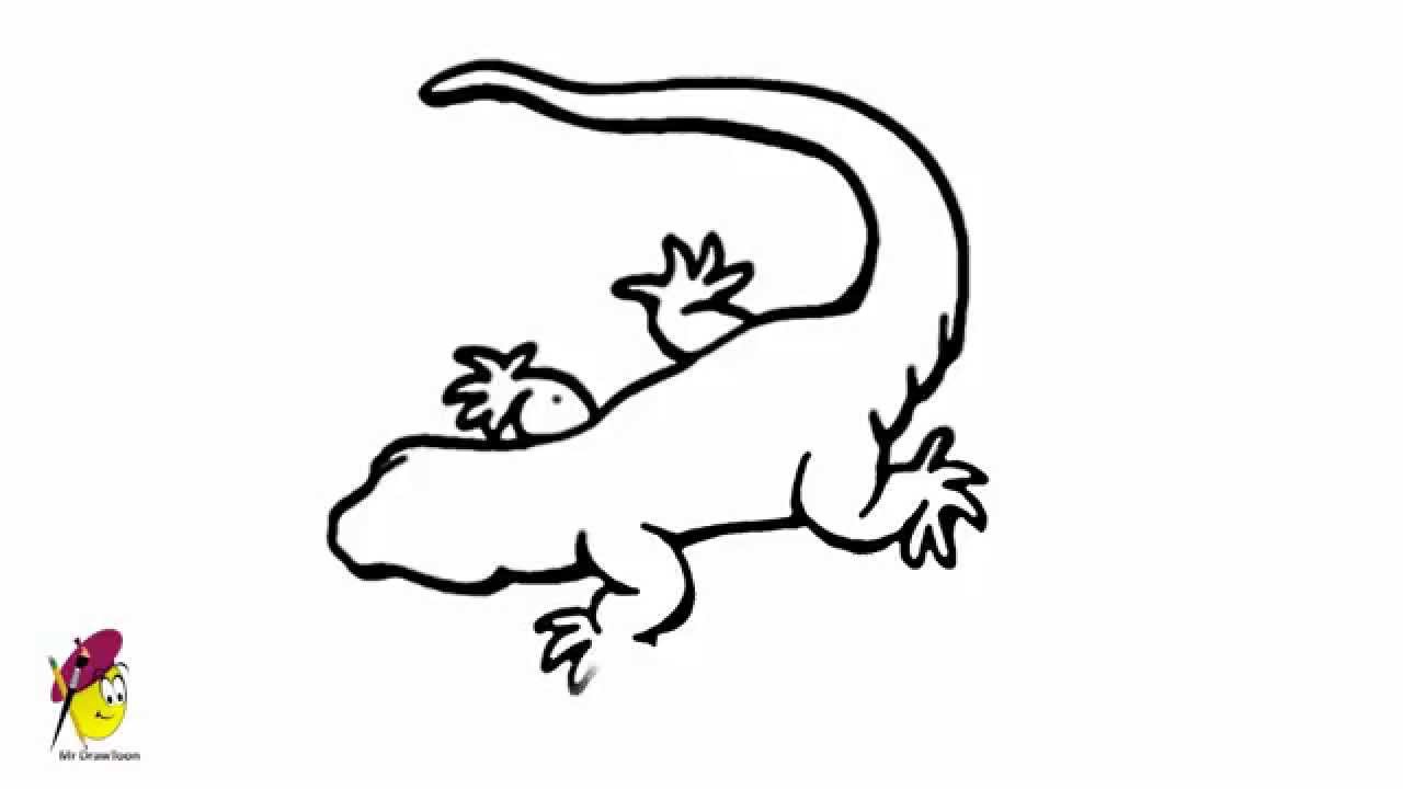 1280x720 Gecko - Lizard Drawing Outline