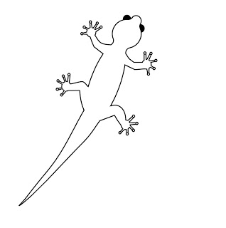 318x320 How To Draw Cartoons Gecko - Lizard Drawing Outline