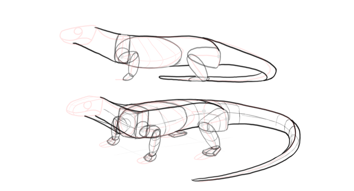 700x377 How To Draw Lizards - Lizard Drawing Outline