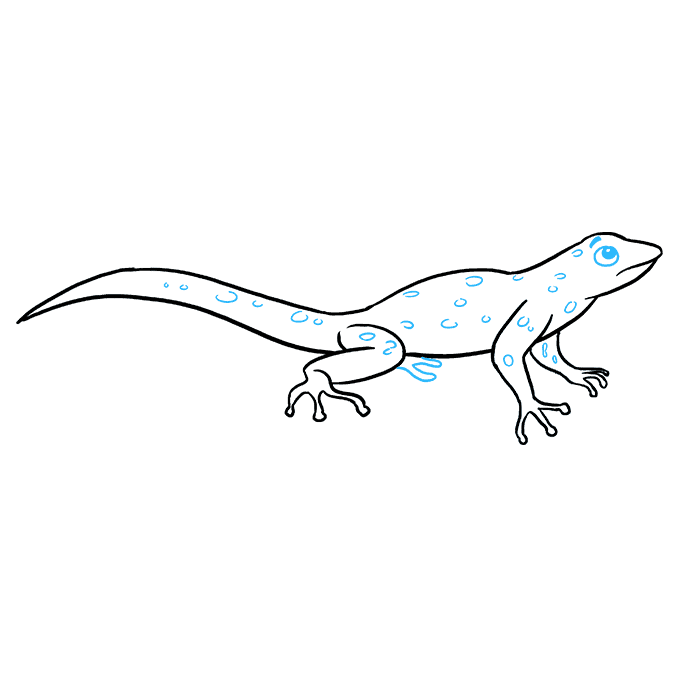 680x678 How To Draw A Lizard - Lizard Drawing Outline