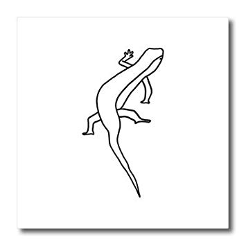 355x355 Lizard Crawling Outline Art Drawing - Lizard Drawing Outline