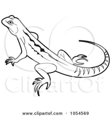 450x470 Lizard Clipart Outline, Free Download Clipart - Lizard Drawing Outline