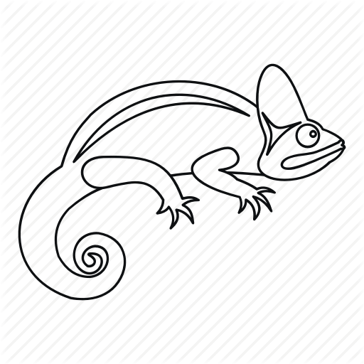 512x512 animal, chameleon, isolated, line, lizard, outline, reptile icon - Lizard Drawing Outline