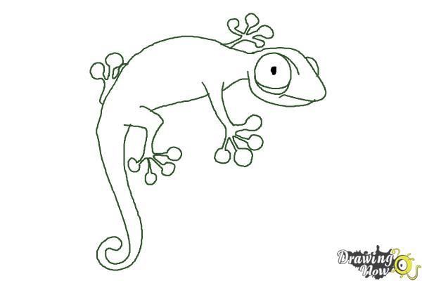 600x400 how to draw a cartoon lizard - Lizard Drawing Pictures
