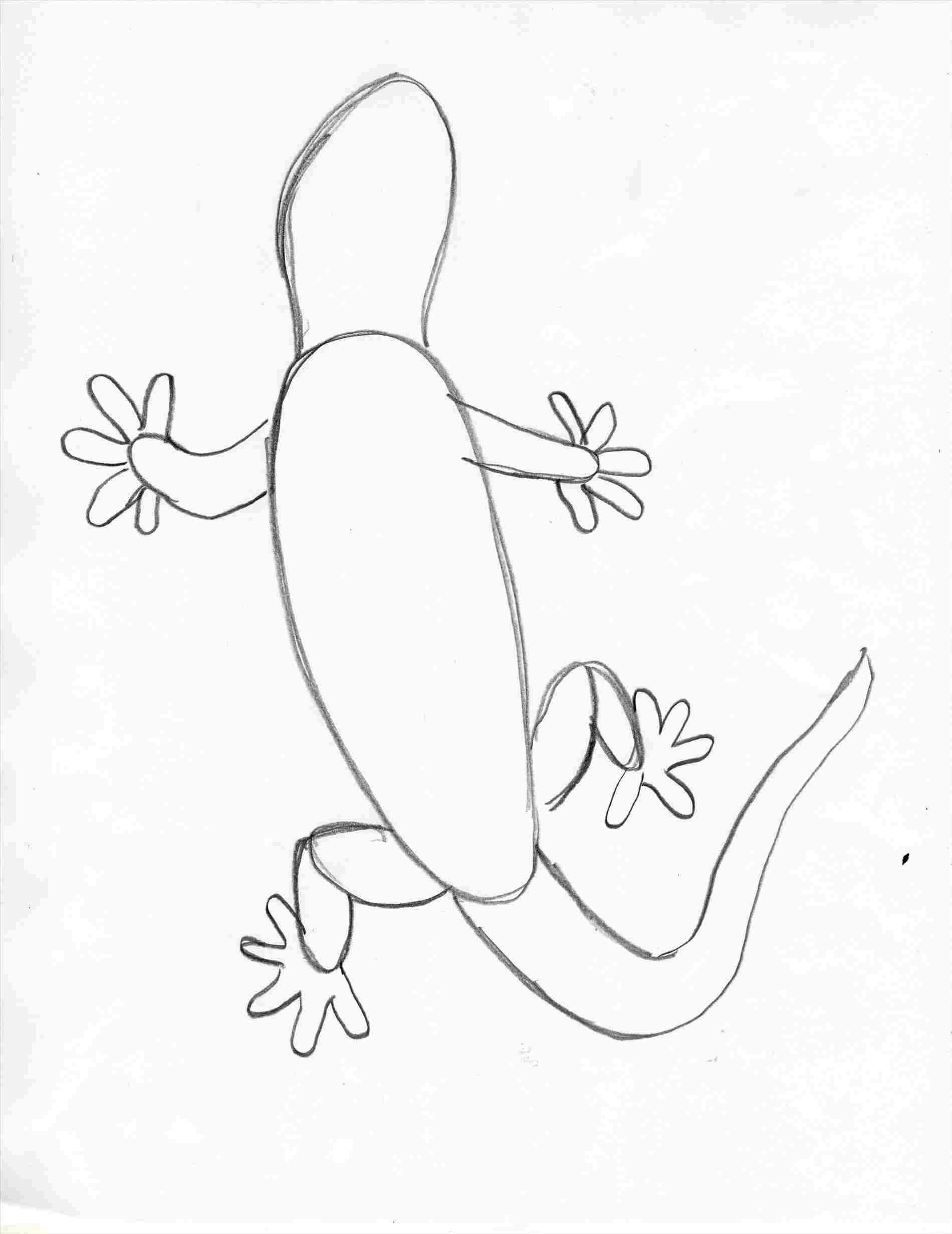 Lizard Drawing Pictures at Explore collection of