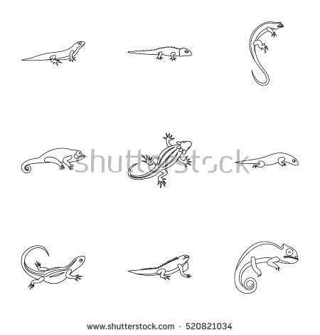 450x470 Huge Collection Of 'lizard Line Drawing' Download More Than - Lizard Line Drawing