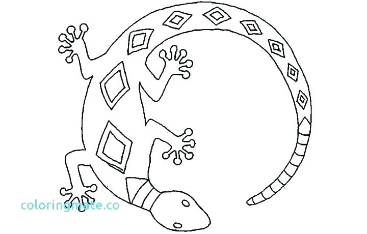 720x460 lizard coloring pages lizard coloring pages preschool lizard - Lizard Line Drawing